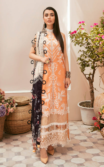 Asifa & Nabeel - Nisbat - SS-07 Brand Mafia by Zonash