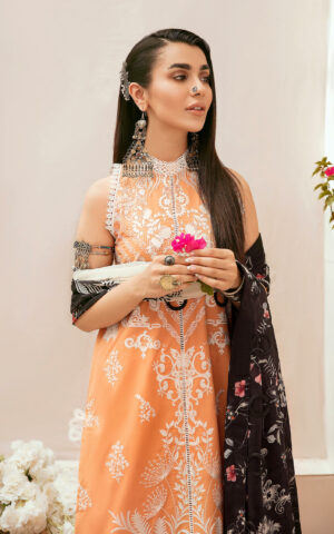 Asifa & Nabeel - Nisbat - SS-07 Brand Mafia by Zonash