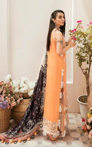 Asifa & Nabeel - Nisbat - SS-07 Brand Mafia by Zonash