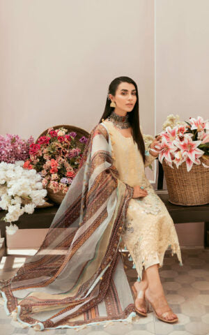 Asifa & Nabeel - Noori - SS-04 Brand Mafia by Zonash